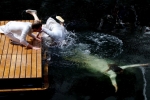 gdif2013-two-sink-three-float-by-studio-eclipse-pic8-900x600-stu-mayhew